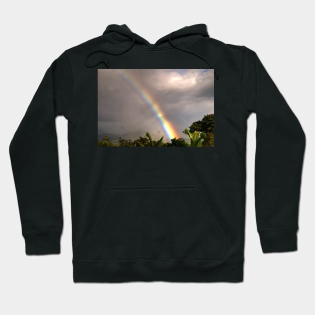 lll rainbow Hoodie by pcfyi